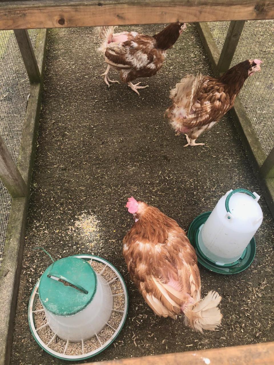 Home Farm Birtsmorton Eksteriør bilde