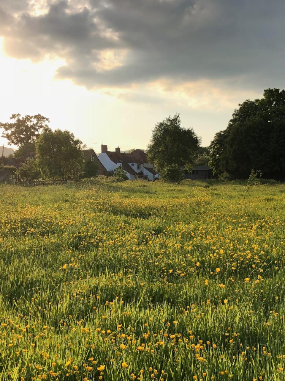 Home Farm Birtsmorton Eksteriør bilde